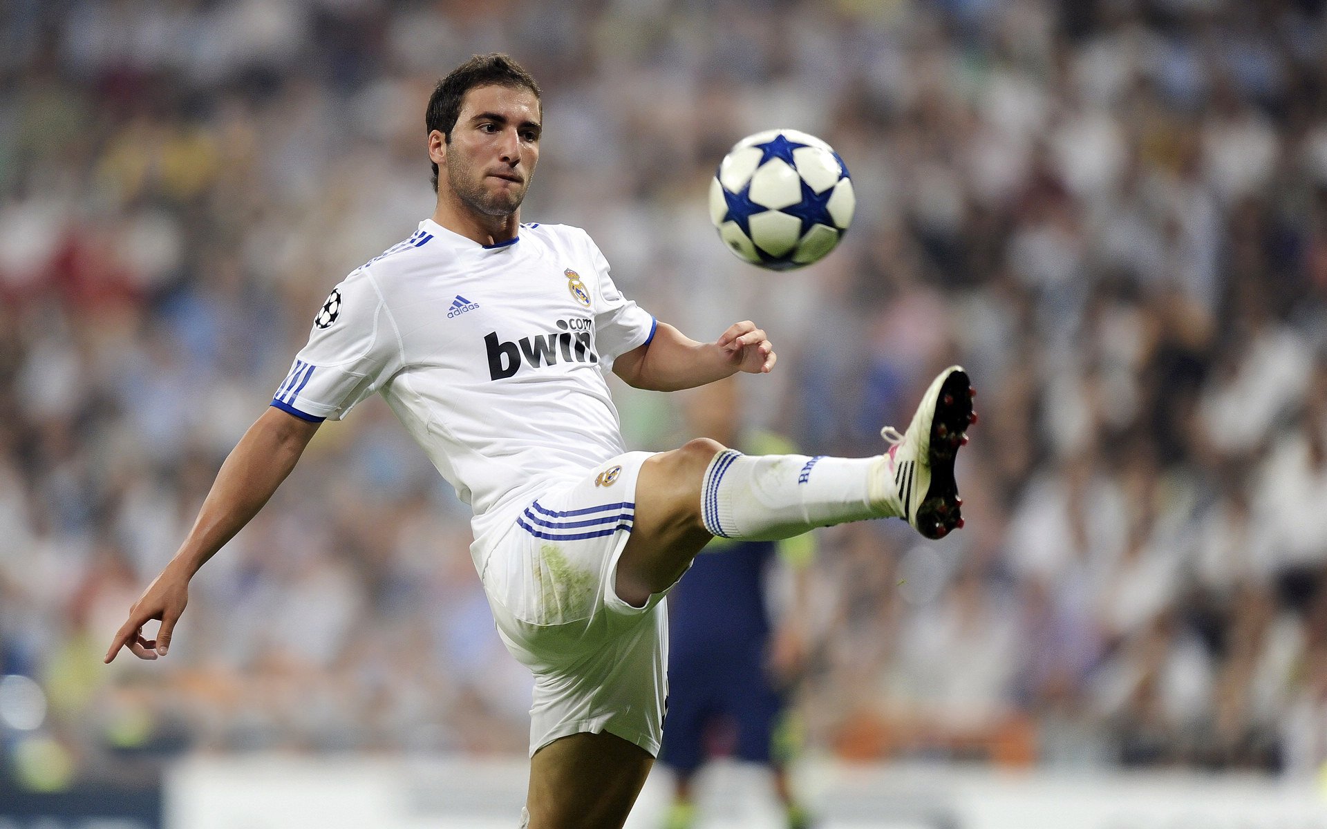 今日全球体育焦点